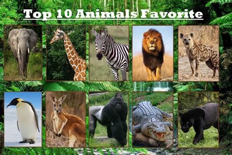 Image result for Watchmojo.com Top 10 Animals
