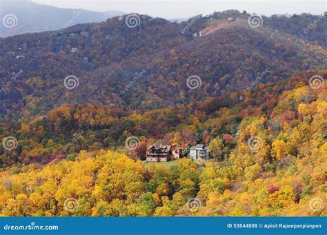 Image result for Statistical Mini Examples