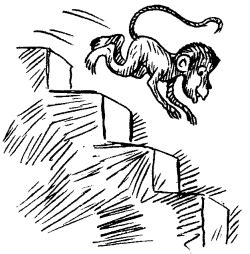 NCERT Solutions for Class 7 Maths Chapter 1 Integers - Amresh Academy