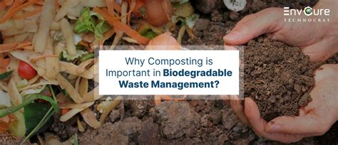 Image result for Biodegradable Waste Composting