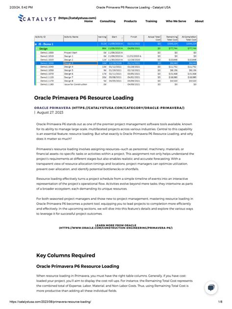 Image result for Resource Loading P6