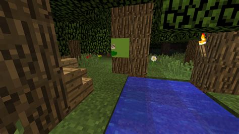 Image result for Pixelmon Region