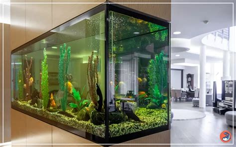 Image result for Fish Tank Substrate