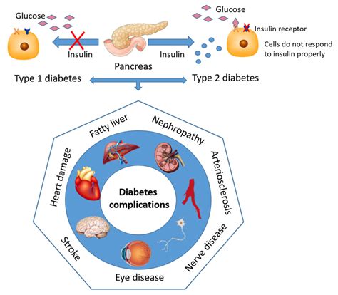 The Effects of Major Mushroom Bioactive Compounds on Mechanisms That ...