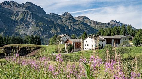 HOTEL CHESA POOL (Sils im Engadin) - Inn Reviews, Photos, Rate ...