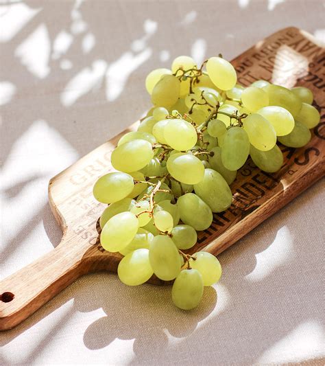 Image result for Red Wine Mini Pro