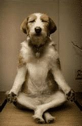 Teamwork Tuckman Model 的图像结果