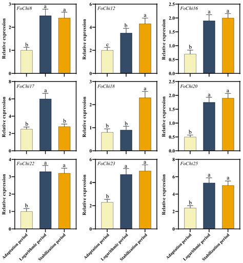 Chitinase Gene FoChi20 in Fusarium oxysporum Reduces Its Pathogenicity ...