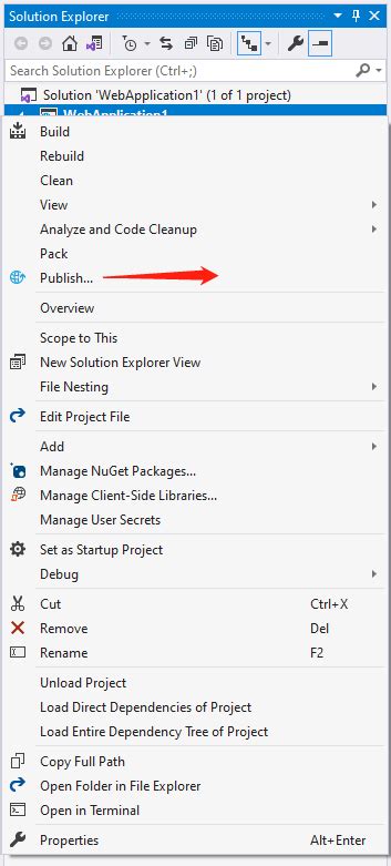Create Web Application in Visual Studio 2019 的图像结果