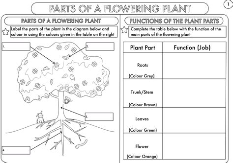 Image result for Free Printable 3rd Grade Science Worksheets