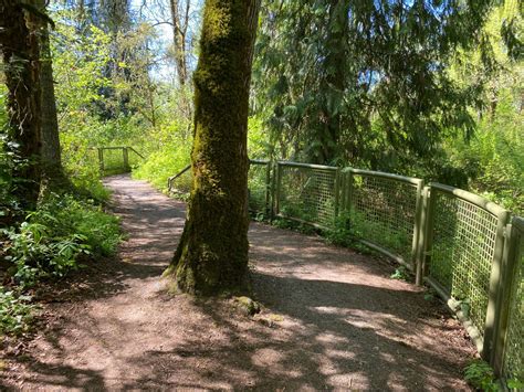 River Trail Narrowest Section and Natural Surface | FWS.gov