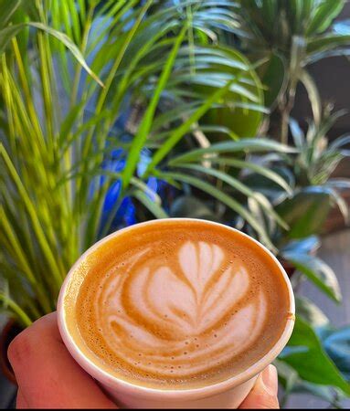 Amazing coffee very unprofessional service - Reviews, Photos - Crazy ...