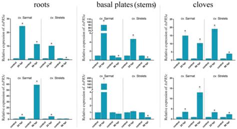 Pathogenesis-Related Genes of PR1, PR2, PR4, and PR5 Families Are ...