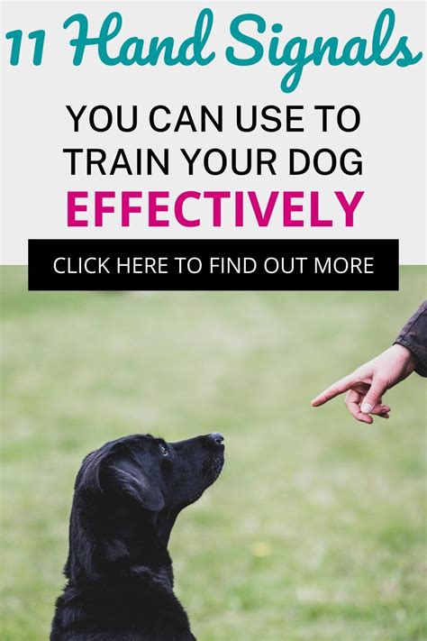 Image result for Hand Signs for Dogs