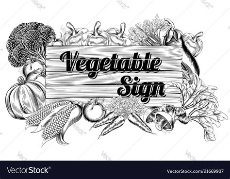Produce Sign Vector 的图像结果