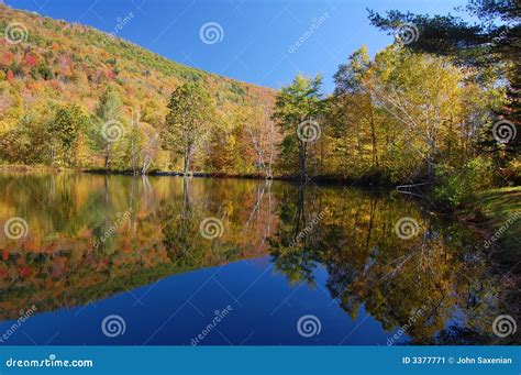 Image result for Spring Pond Reflection