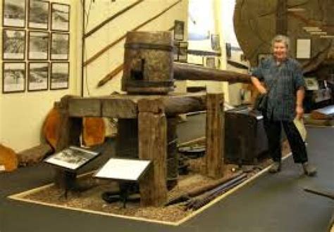 Kauri Museum, northland, New Zealand - Top Attractions, Things to Do ...