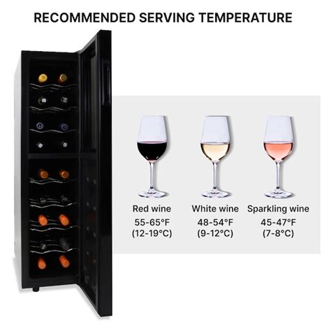 Koolatron 10.25-in W 12-Bottles Black Deluxe 12 Bottle Capacity ...