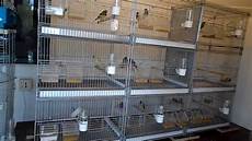 gabbie usate cage italienne borgovit hamovible gabbie usate cage italienne borgovit hamovible