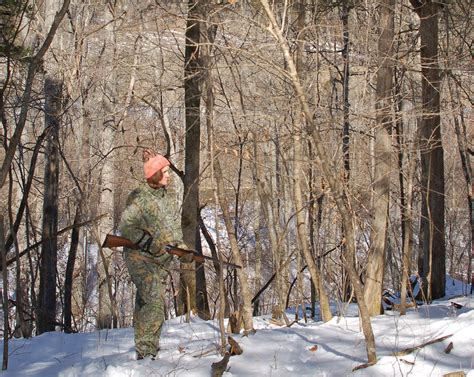 Best Time of Day to Hunt Rabbits and Squirrels - Grit