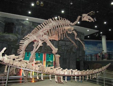 CHANGCHUN GEOLOGICAL PALACE MUSEUM (2026) All You Need to Know BEFORE ...