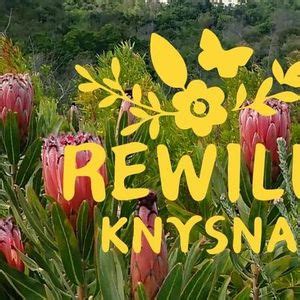 REWILD - Locally Indigenous Plant Sale, Pledge Nature Reserve - Knysna ...