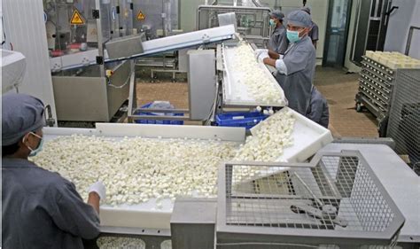 Automated Paneer Technology 的图像结果