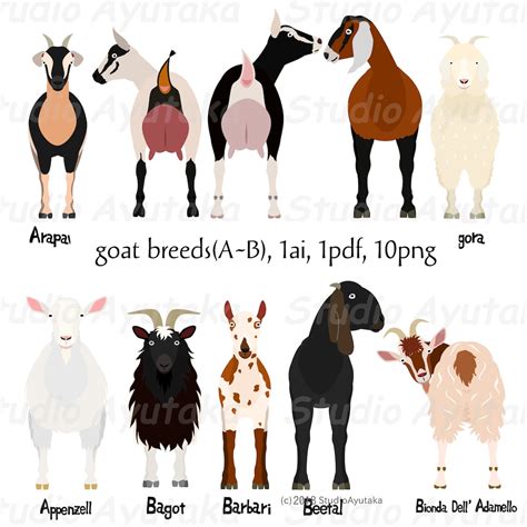 Goat Breeds A~B Bundle, Ai, Pdf, Png - Etsy