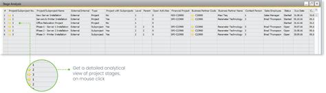 Project Management SAP B1 的图像结果