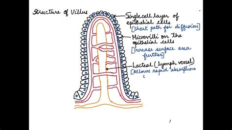 Image result for Visual Spatial Examples