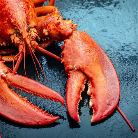 How Long to Boil Multiple Lobsters {Cooking Times}