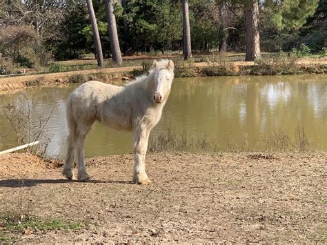 RiverPointe Mirror Image