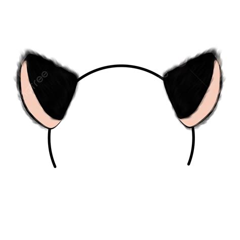 Cat PNG Transparent Images