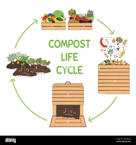 What Is Composting In Biology at Jessica Dowie blog