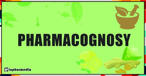 Air resistance – Definition, Formula, Components, Factors