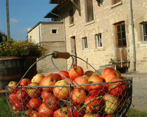 LES VERGERS DE DUCY (2025) All You Need to Know BEFORE You Go (with ...