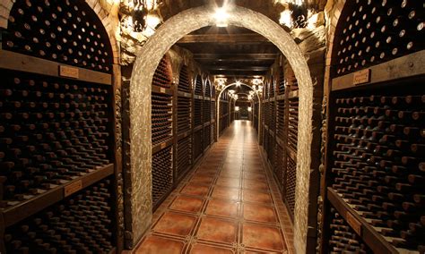 最老的葡萄藤 最大的酒窖 葡萄酒有这么多世界记录|葡萄酒桶|Chisinau_凤凰酒业