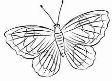 ausmalbilder schmetterling ausdrucken ausmalbilder schmetterling zum ausdrucken ausmalbilder schmetterling ausdrucken ausmalbilder schmetterling zum ausdrucken