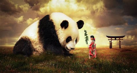 Image result for Relational Data In Python Panda Data Frames
