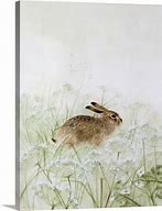 Image result for Rabbit Canvas Art