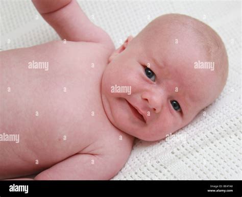 8 week old baby boy Stock Photo - Alamy