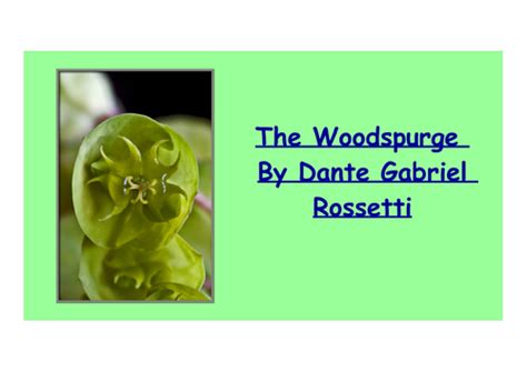 Poetry Lessons 的图像结果