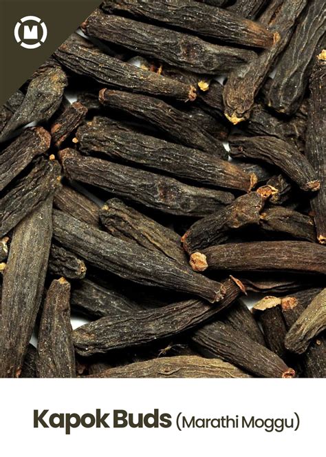 Kapok Buds (Marathi Moggu) – Mangalore Spice