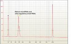 illumina sequencing cost small rna illumina sequencing infravec2 h2020 no cost illumina sequencing cost small rna illumina sequencing infravec2 h2020 no cost