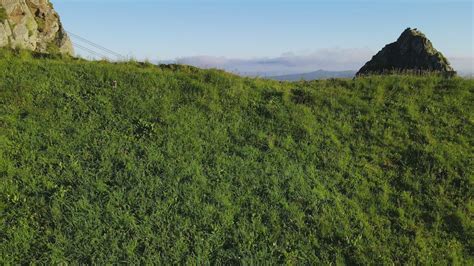 Image result for Xx Local Video Song