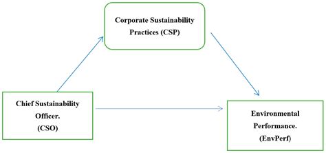 The Impact of Chief Sustainability Officers on Environmental ...