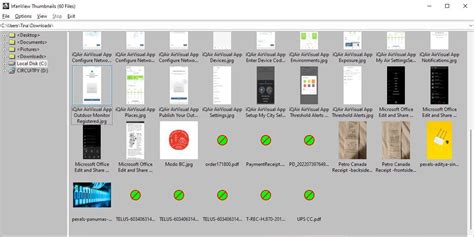 Image result for IrfanView First Marriage