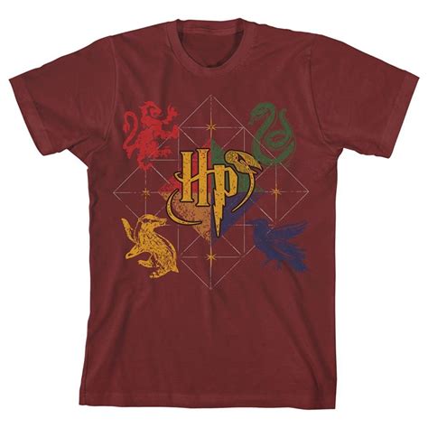 Harry Potter Hogwarts Animals Boys Youth T-Shirt Licensed | Harry ...