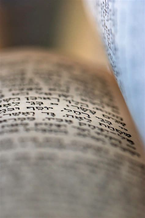 Image result for Torah Commentary