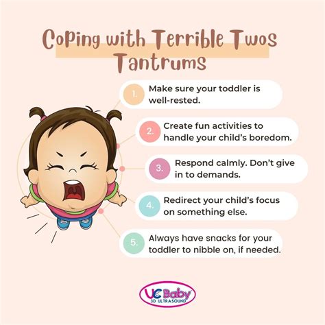 Terrible Tantrums Terrible Twos: Understanding And Managing Your